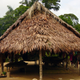 A dwelling of the Tsimane, a group of indigenous people who live in the rural tropics of Bolivia in South America.